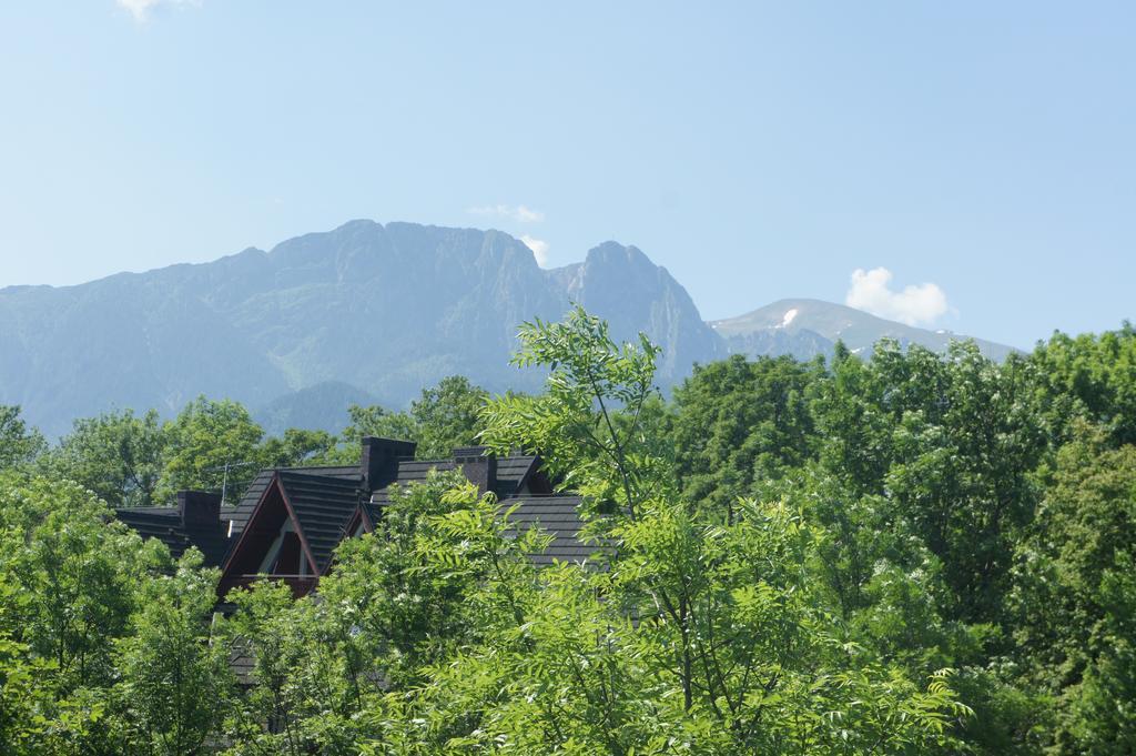 Apartamenty Stara Polana Zakopane Exteriér fotografie